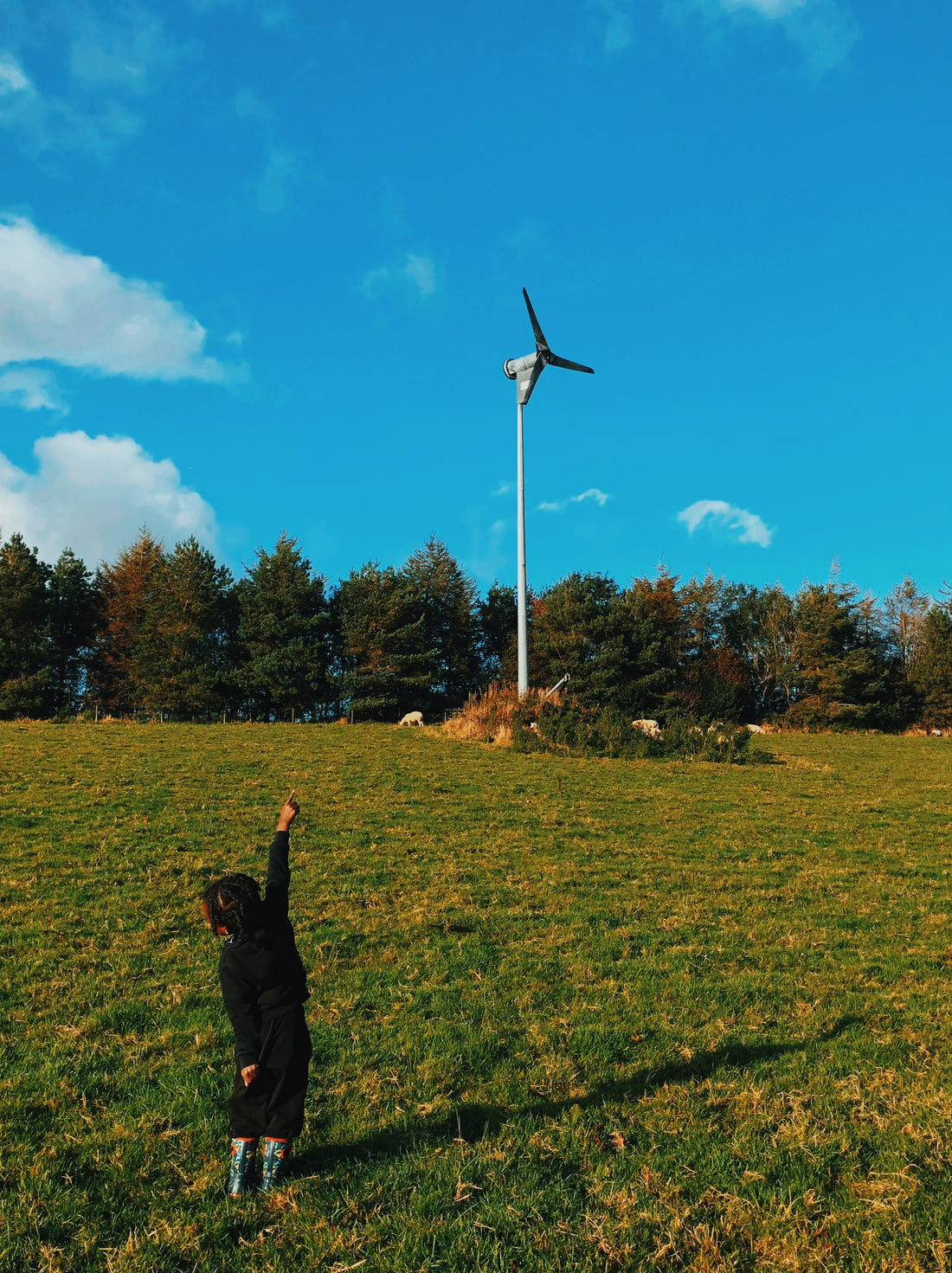 Powering Earth to Earth Organics with Wind: Our Story of Sustainability